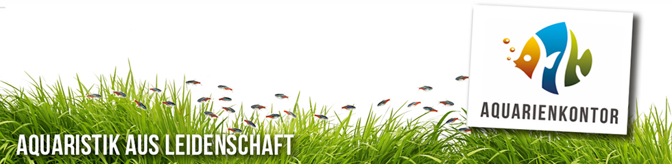 Banner Aquarienkontor.de